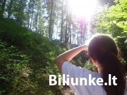 Dvyliktas Biliūnkalnio laiptelis - Vesta Bartulytė