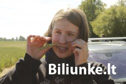 Dvyliktas Biliūnkalnio laiptelis - Kamilė Jarmalavičiūtė