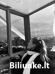 Dvyliktas Biliūnkalnio laiptelis - Rasa Blekaitytė