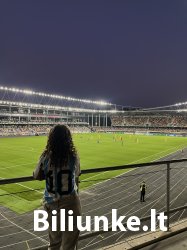Dvyliktas Biliūnkalnio laiptelis - Emilija Kviecinskaitė